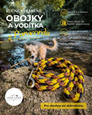 Tak jo… Tohle je přesně ten typ procházky, který začíná slovy „jdeme jen na chvilku“. 🐶 A o hodinu později stojíš po...