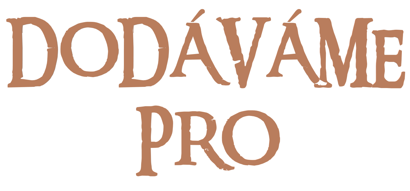 DODÁVÁME PRO