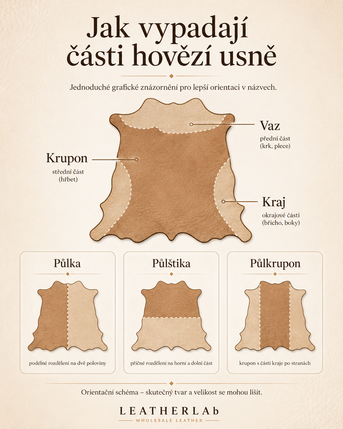 Grafické znázornění částí hovězí usně: krupon, vaz, kraj, půlka, půlštika a půlkrupon