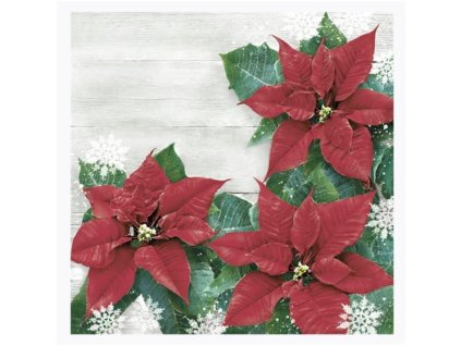 Obrúsky Daisy Vianoce Vianočné ruže 33x33cm/20ks/3-vrstvové