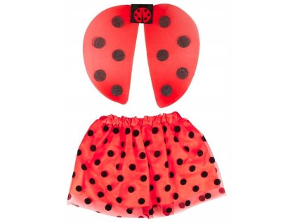 Karnevalová sada Lienka