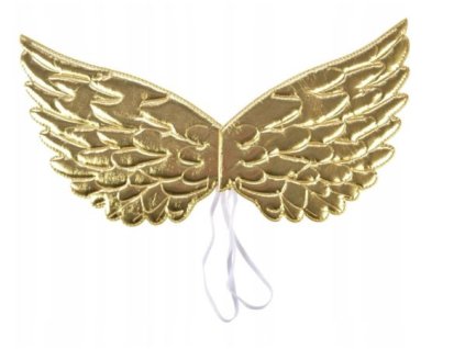 Krídla anjela zlaté 25x49cm