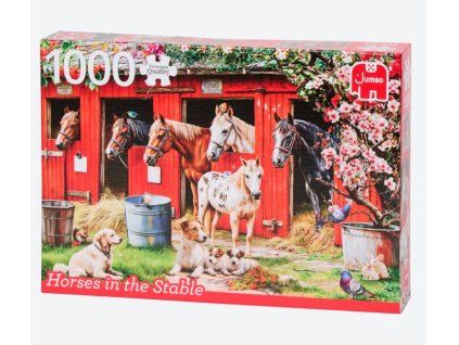 Puzzle Jumbo 1000ks 68x48,5cm