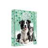 Box na zošity A5 Jumbo MAX Best friends forever