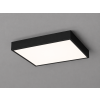 A. LED2 stropní svítidlo MILO