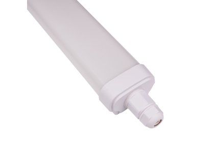 Prachotěsné svítidlo TRIPROOF TR150 60W (Varianta Studená bílá)