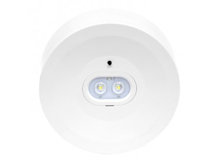 293 0TL1006 3W web1