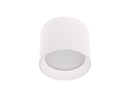 LED svítidlo ALEXO 9W CCT kulaté bílé stropní