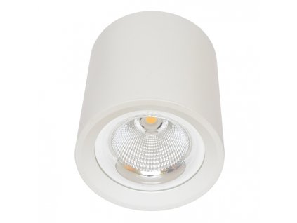 811 0MZ DL 30W web