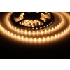 LED pásek 12MINI7875 (Varianta Teplá bílá)