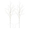 LED dekorace – 2x březová větvička, 60 cm, 3x AA, venkovní i vnitřní, teplá bílá, časovač