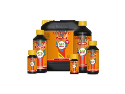 ATA NRG Flower C family