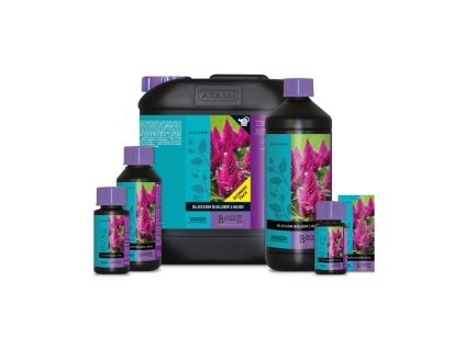 Bcuzz Blossom builder liquid family