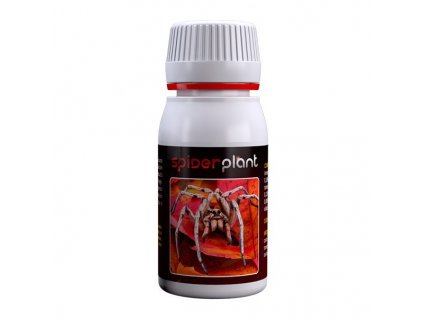 Spider Plant 60ml - svilušky (Volume 15ml)