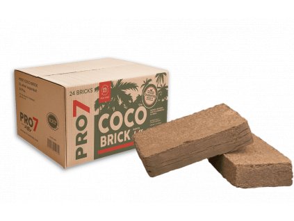 coco brick