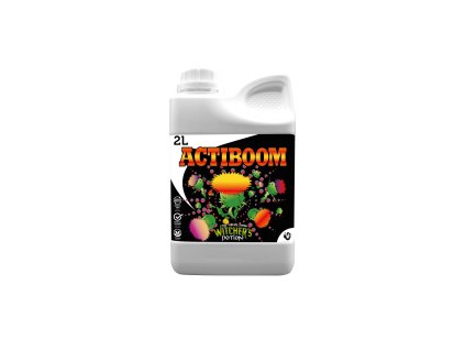 La Poción Del Brujo Actiboom (Volume 10l)
