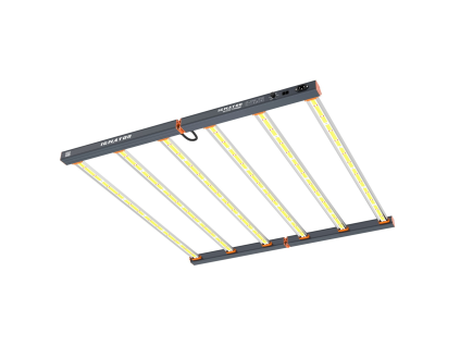 LEDD0081 00