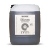 Biobizz calmag 10l