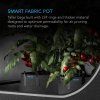StorePhoto2 Tomato 72499.1657045775