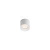 TINY Stropní LED Svítidlo 8W 3000K 1110931 LED2 (Barva Černá)