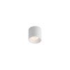 TINY Stropní LED Svítidlo 8W 3000K 1110931 LED2 (Barva Černá)