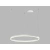 CIRCLE 80 Závěsné LED svítidlo 62 W 3276271DT LED2 (Varianty DALI/PUSH)
