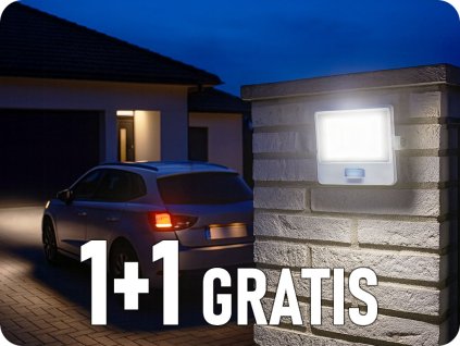 20293 1+1 gratis