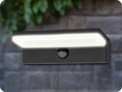 LED NÁSTĚNNÉ VNĚJŠÍ SVÍTIDLO SE SENZOREM PACHIRA 9W, 500LM, IP54, 4000K, ČERNÉ [AD-OP-6576BLPMR4]