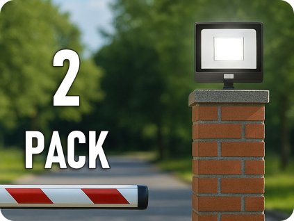 20291 2 pack