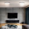LED stropní osvětlení s dálkovým ovladačem ESTELA 36W, 2700lm, 30cm, bílé [WO8019]