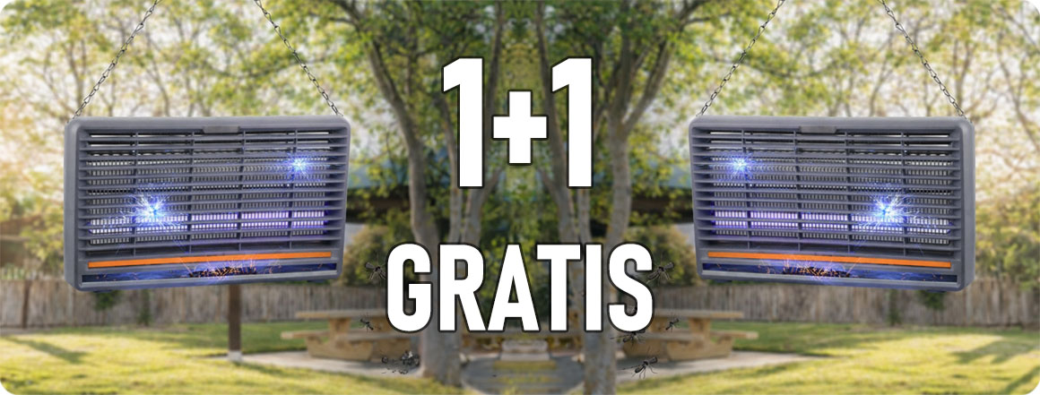 101903/1+1