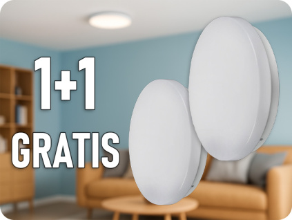 217605 1+1 gratis
