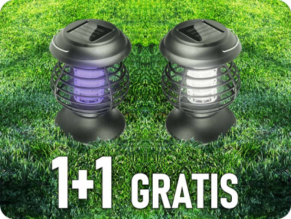 101967 1+1 gratis