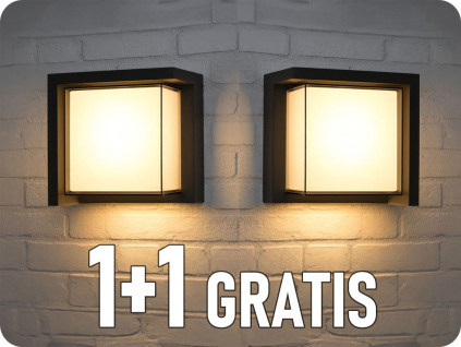 25422 1+1 gratis