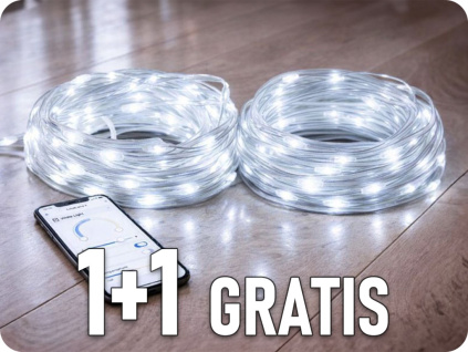 101247 1+1 gratis