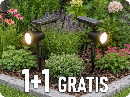 24154 1+1 gratis