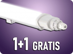 23083 1+1 gratis (1)