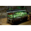 LED TRUBICA T8 na osvetlenie rastúcich rastlín, 18W, 120 CM, G13, SKLO/PLAST