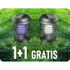 101967 1+1 gratis