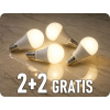519197 2+2 gratis