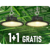 24076 1+1 gratis