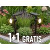 24154 1+1 gratis