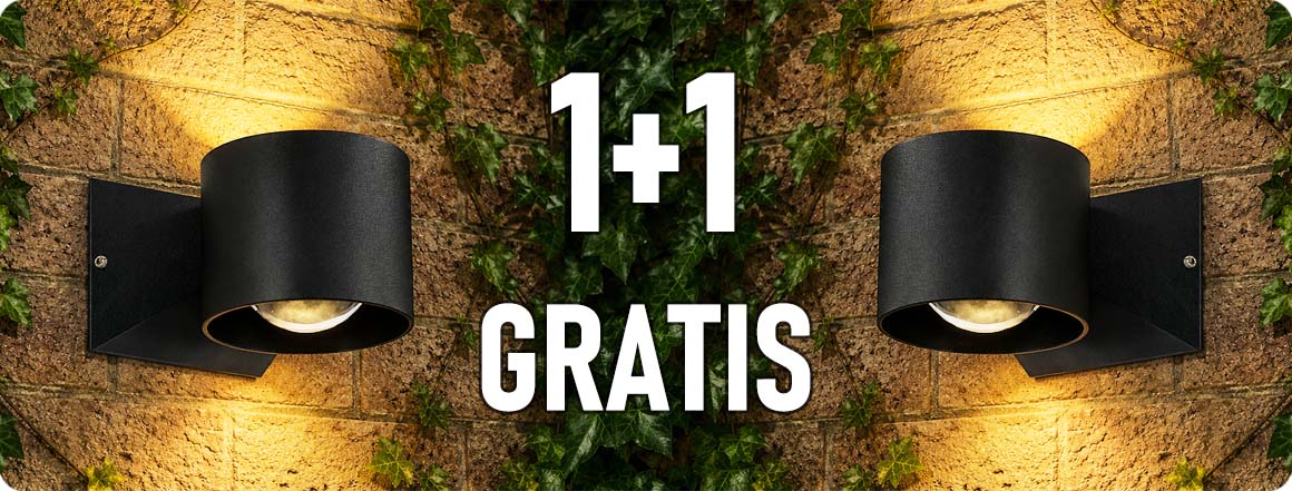 10445/1+1