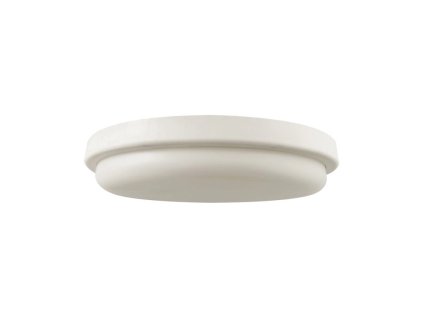 LED VANJSKA STROPNA/ZIDNA SVJETILJKA 24W, 2500LM, IP54