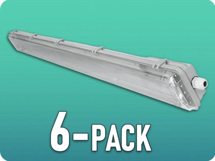 101916 6 pack