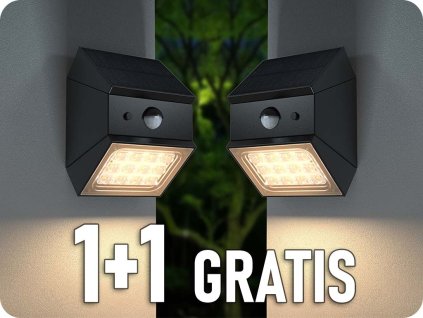 24096 1+1 gratis