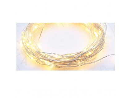 Dekorativna veriga LED 5 m, 50LED, 3xAA, topla bela, brez funkcij, srebrna [X0150111]