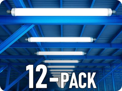216287 12 pack