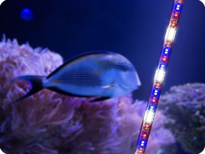 AQUAEL AKVARIJSKA RAZSVETLJAVA LEDDY TUBE 10W, PLANT 2.0