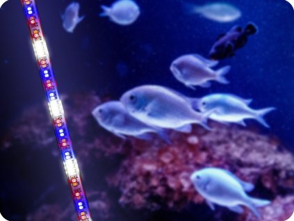 AQUAEL AKVARIJSKA RAZSVETLJAVA LEDDY TUBE 14W, PLANT 2.0